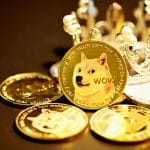 gold and white cat on round gold coins